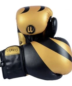 PFGSports Boxing & MMA Gravis - Boxing Gloves MMA Muay Thai Training